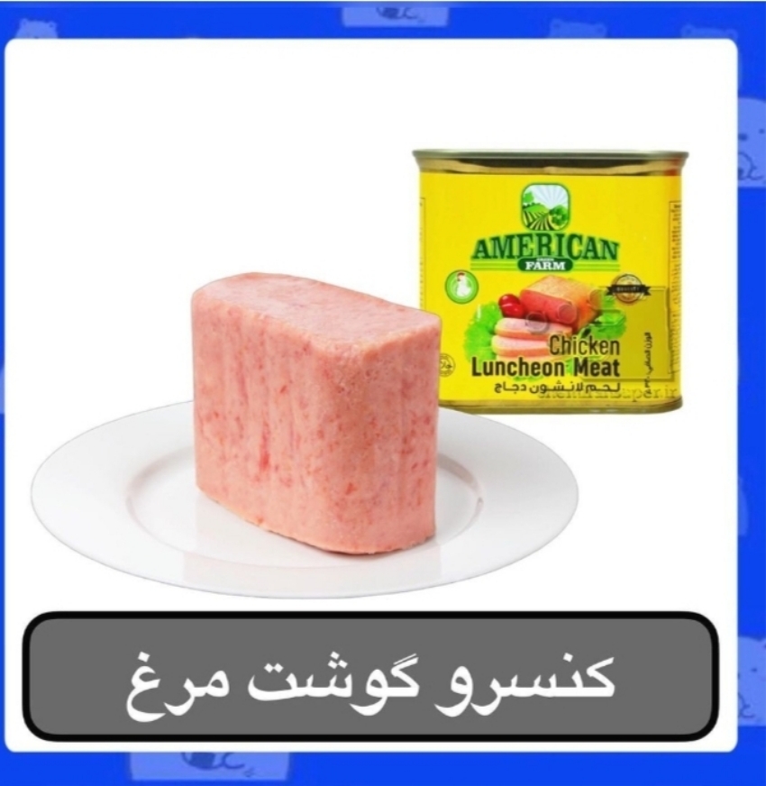  کنسرو کالباس مرغ اسپم 