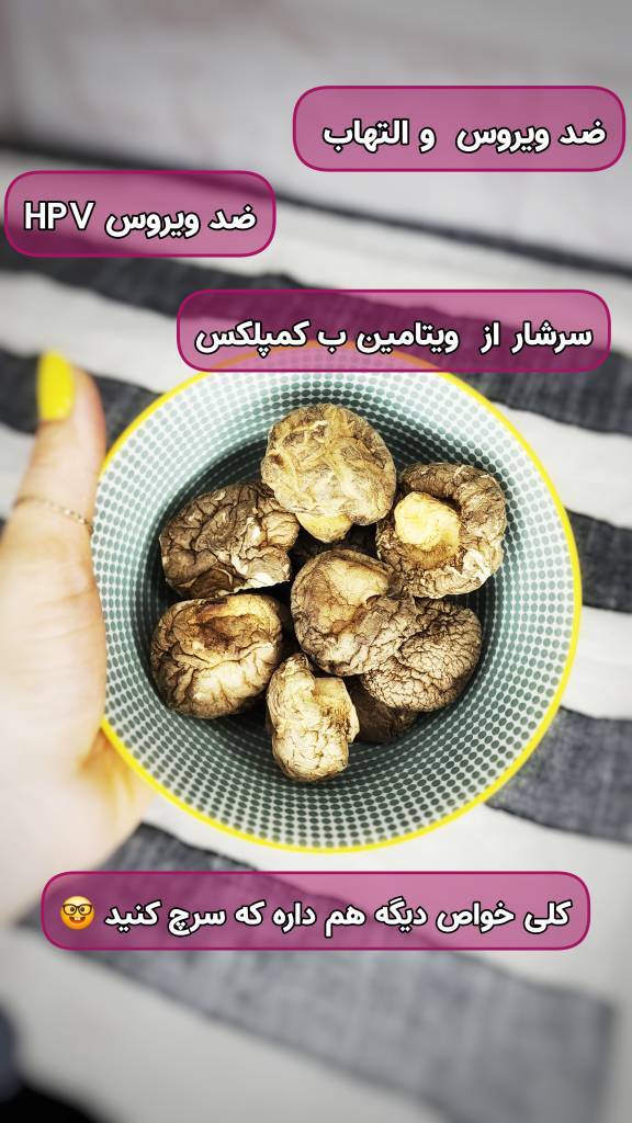  قارچ شیتاکی 