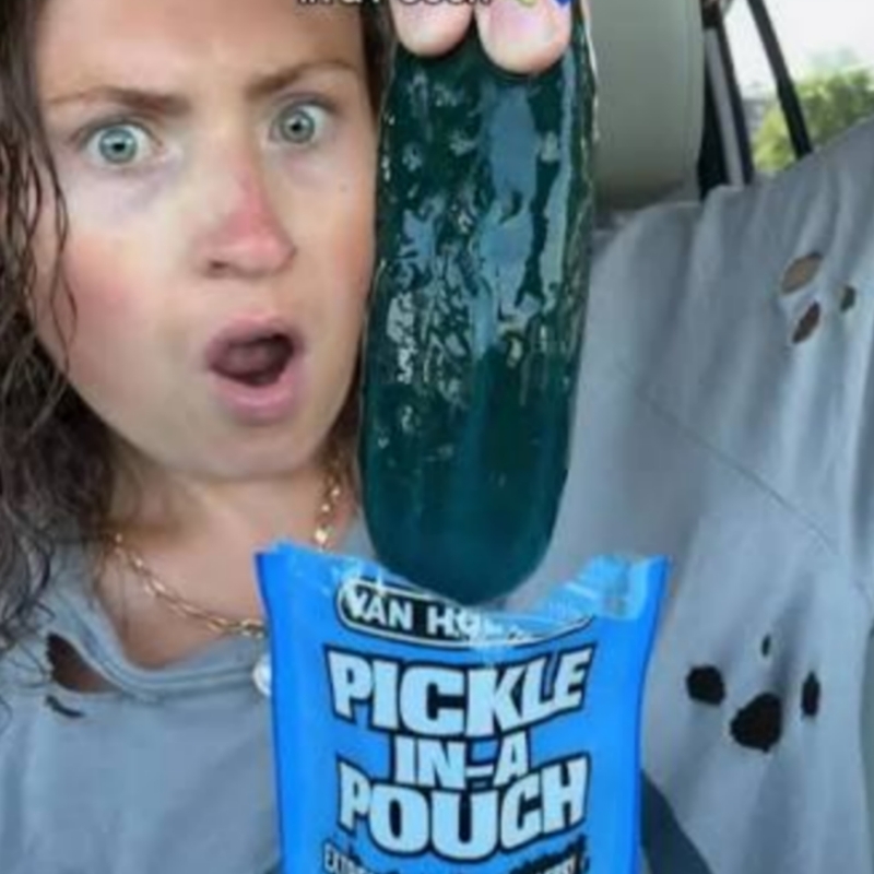  خیار ترش وارهدز 